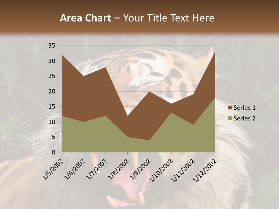 A Tiger With Its Mouth Open And It's Mouth Wide Open PowerPoint Template
