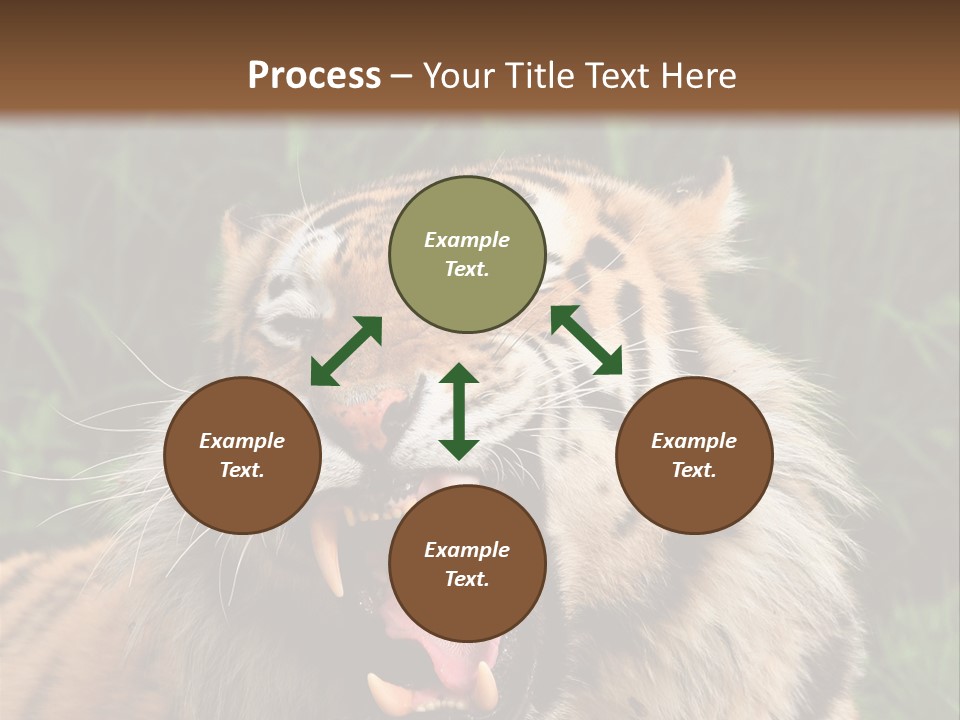 A Tiger With Its Mouth Open And It's Mouth Wide Open PowerPoint Template