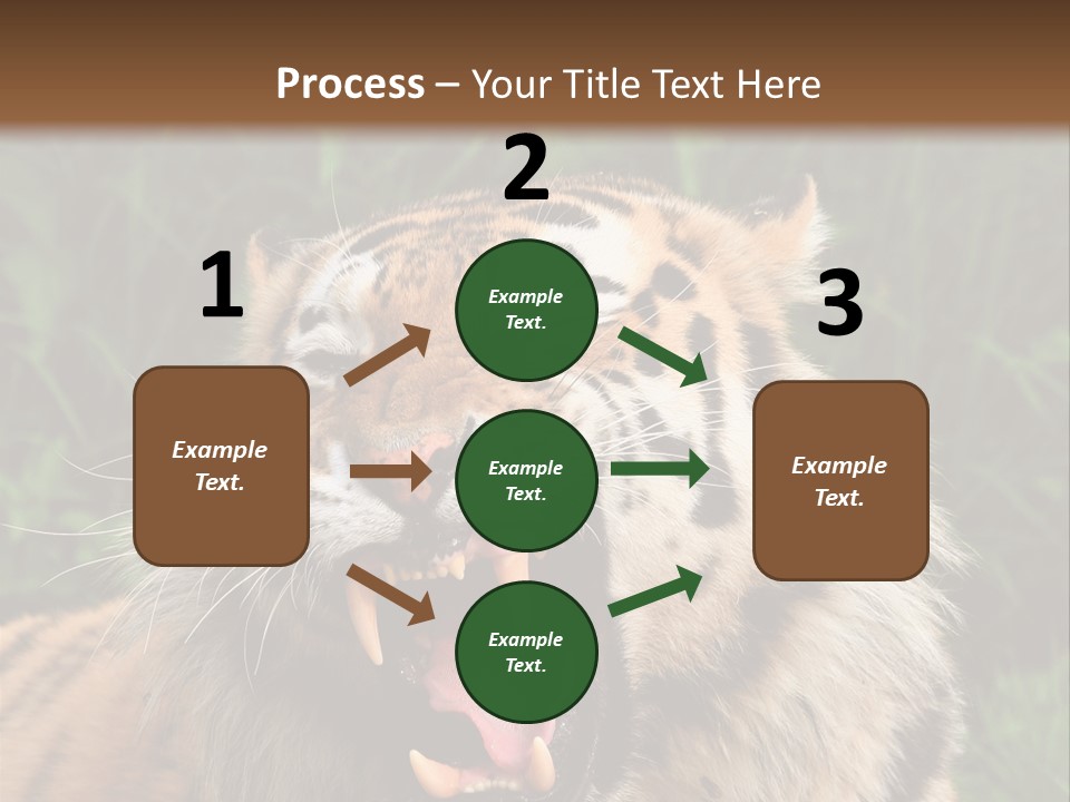 A Tiger With Its Mouth Open And It's Mouth Wide Open PowerPoint Template