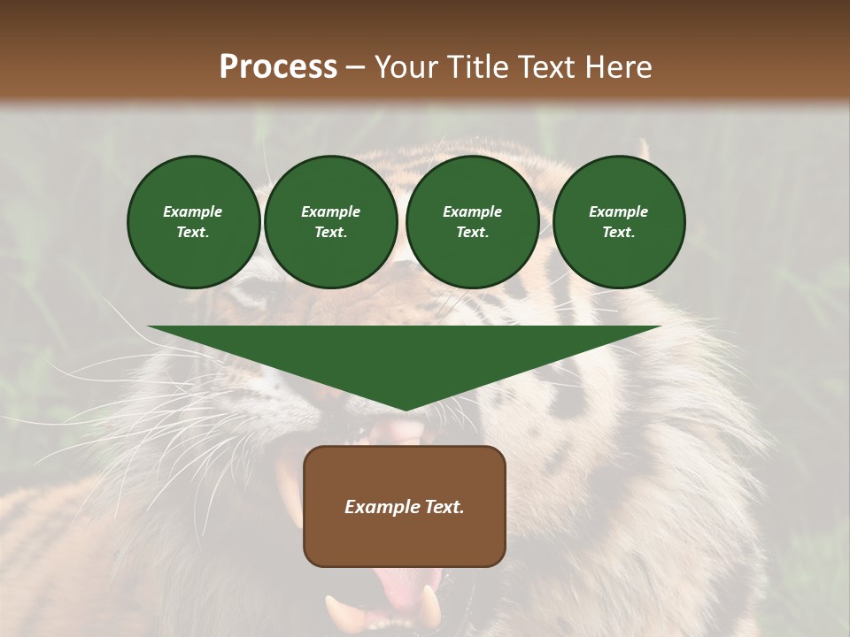 A Tiger With Its Mouth Open And It's Mouth Wide Open PowerPoint Template