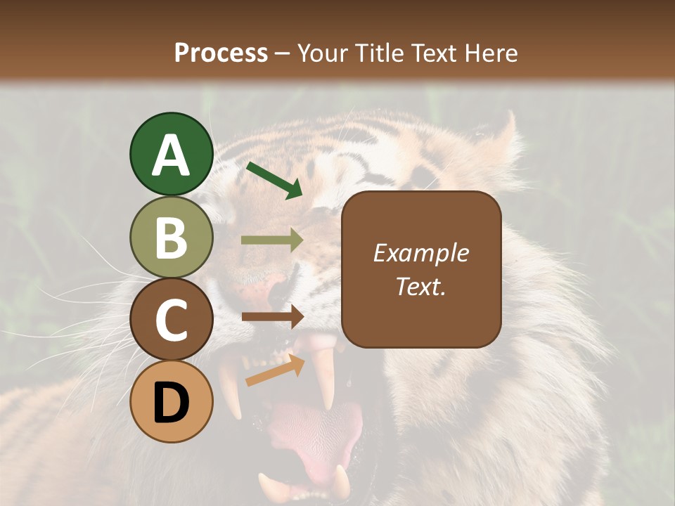 A Tiger With Its Mouth Open And It's Mouth Wide Open PowerPoint Template
