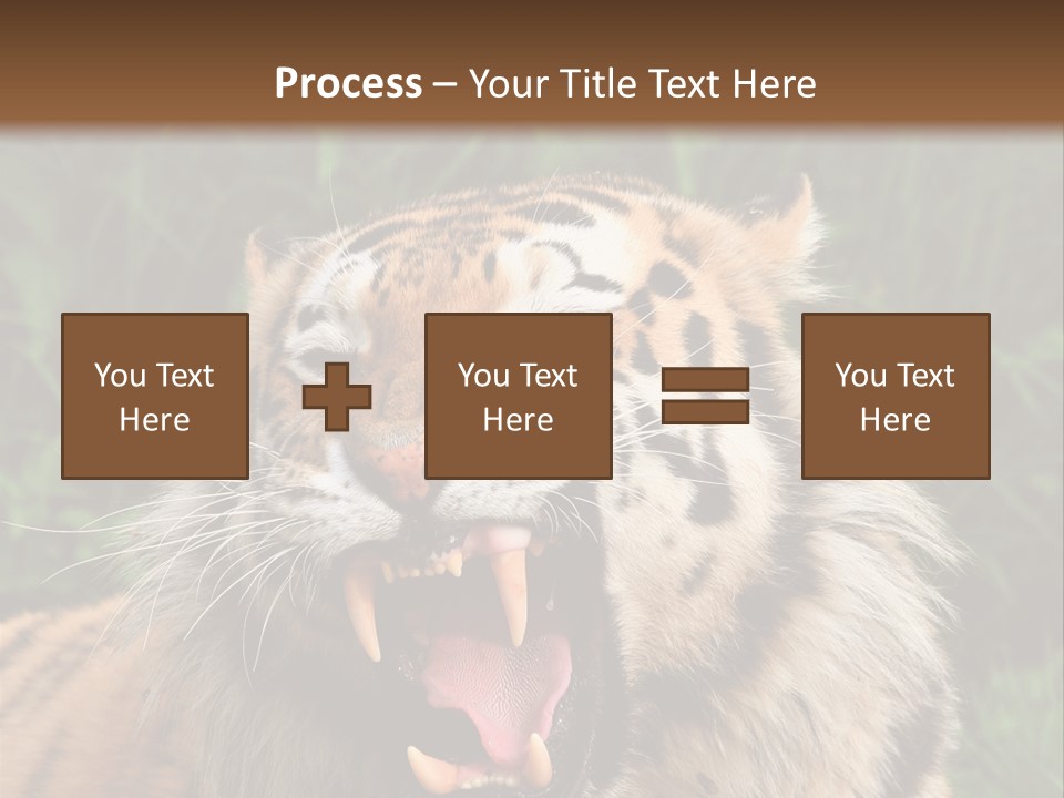 A Tiger With Its Mouth Open And It's Mouth Wide Open PowerPoint Template