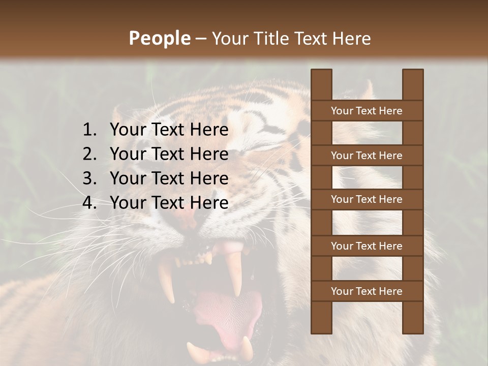 A Tiger With Its Mouth Open And It's Mouth Wide Open PowerPoint Template