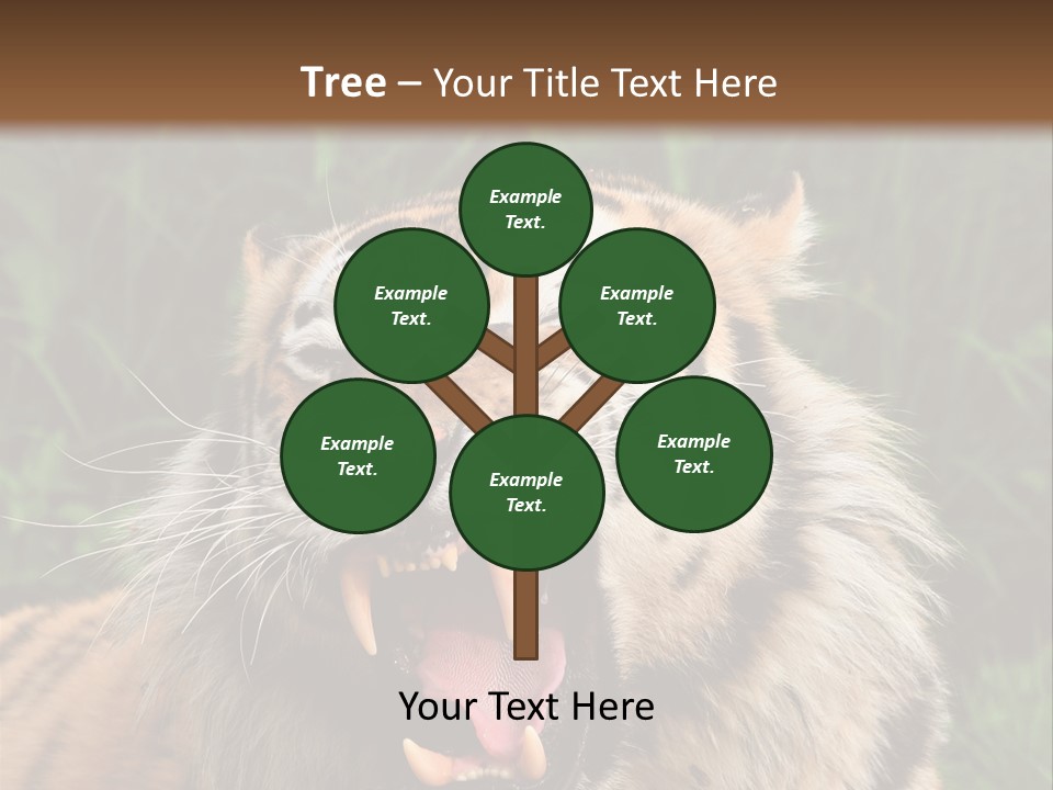 A Tiger With Its Mouth Open And It's Mouth Wide Open PowerPoint Template