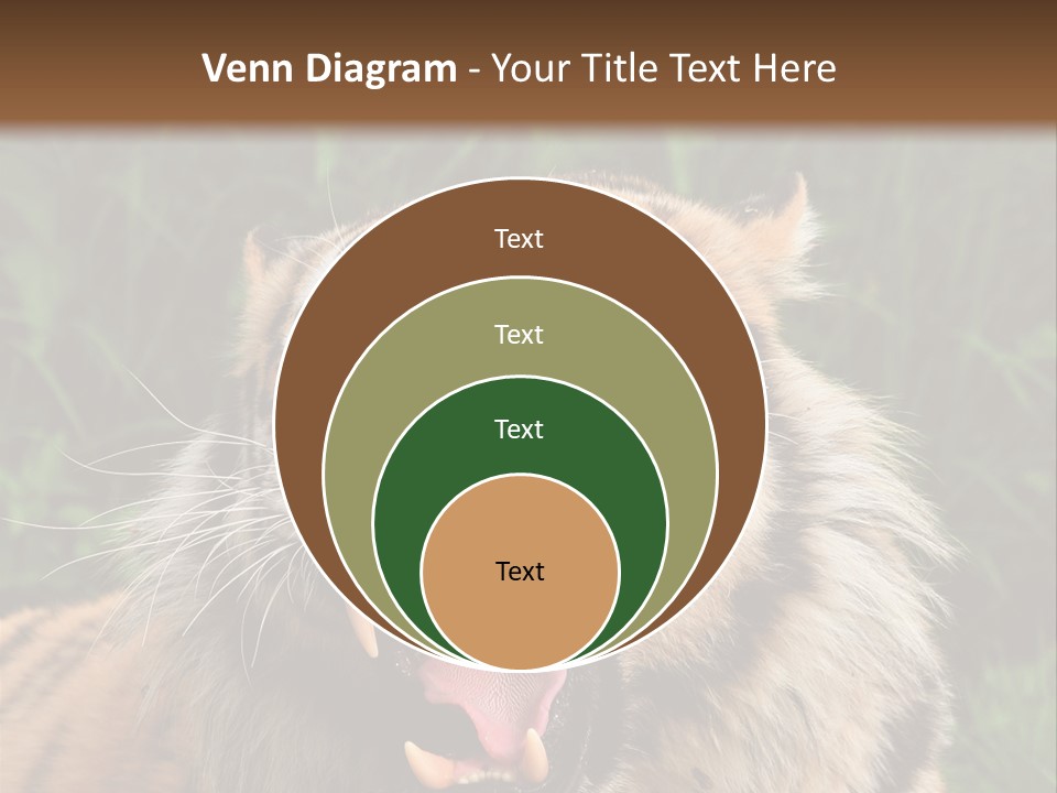 A Tiger With Its Mouth Open And It's Mouth Wide Open PowerPoint Template
