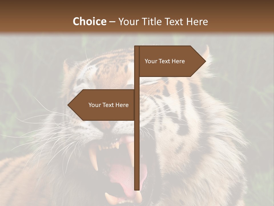 A Tiger With Its Mouth Open And It's Mouth Wide Open PowerPoint Template