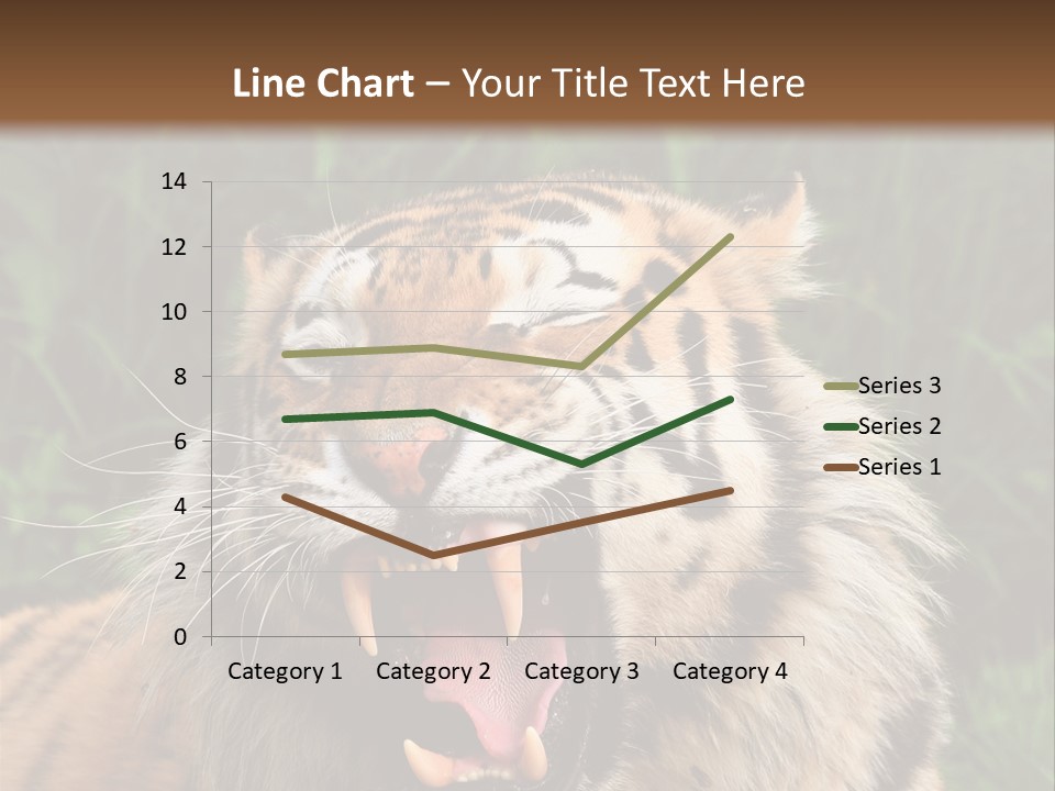 A Tiger With Its Mouth Open And It's Mouth Wide Open PowerPoint Template