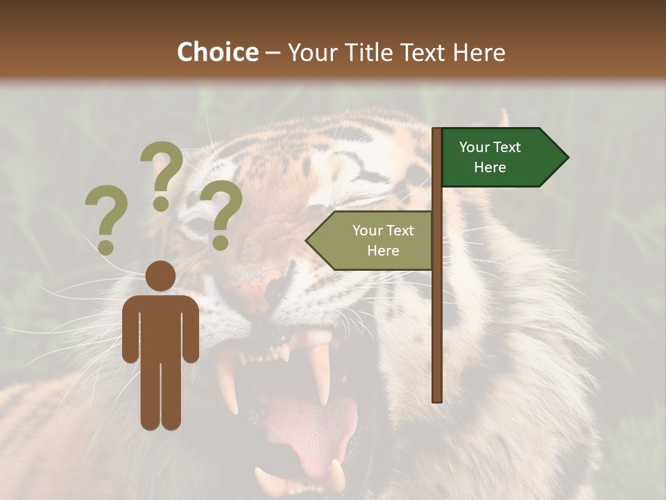 A Tiger With Its Mouth Open And It's Mouth Wide Open PowerPoint Template