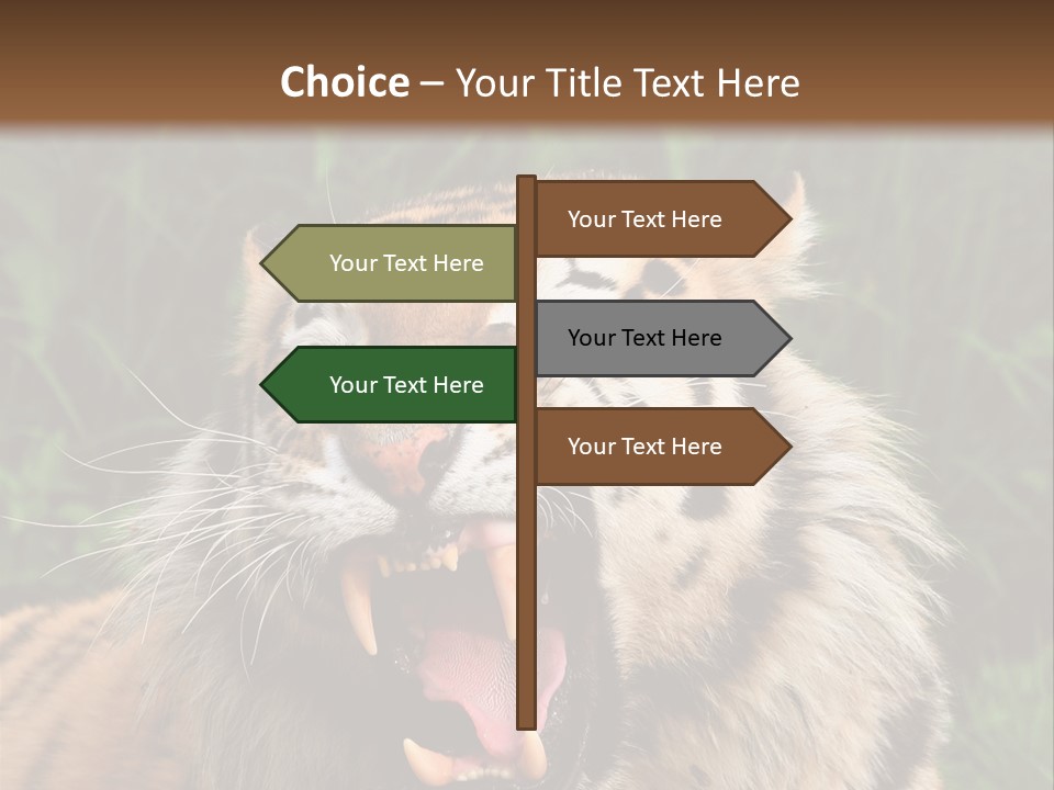 A Tiger With Its Mouth Open And It's Mouth Wide Open PowerPoint Template