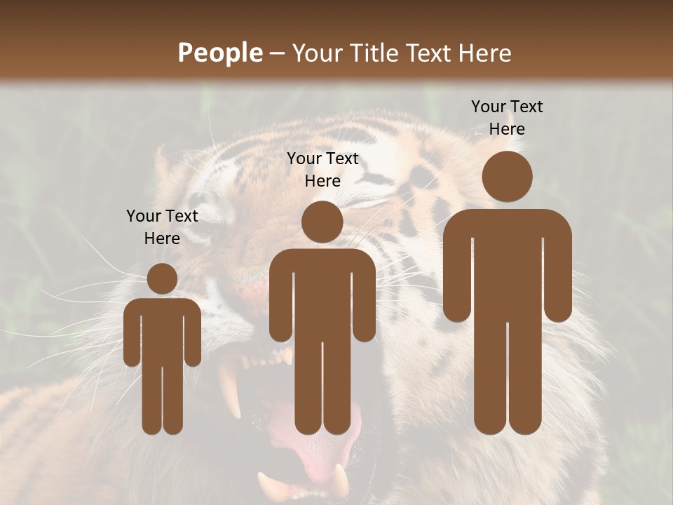 A Tiger With Its Mouth Open And It's Mouth Wide Open PowerPoint Template