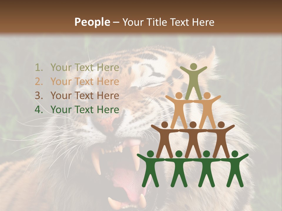 A Tiger With Its Mouth Open And It's Mouth Wide Open PowerPoint Template