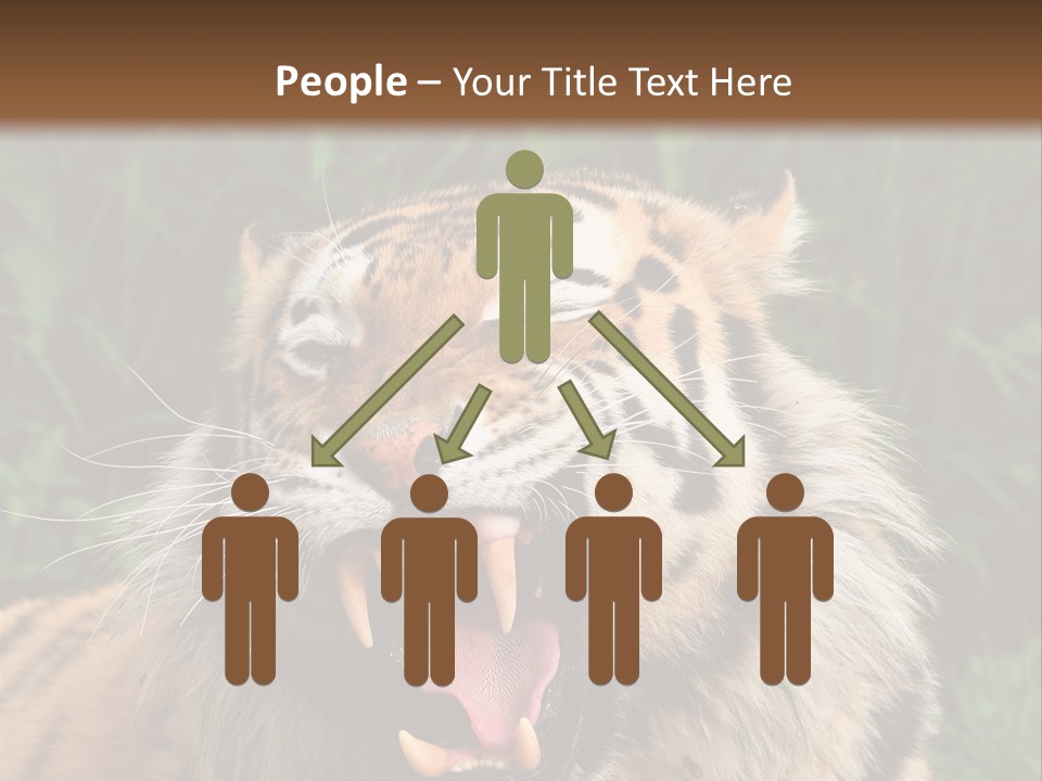 A Tiger With Its Mouth Open And It's Mouth Wide Open PowerPoint Template