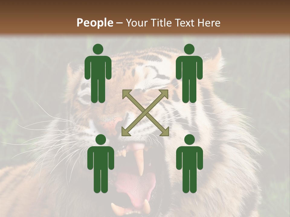 A Tiger With Its Mouth Open And It's Mouth Wide Open PowerPoint Template