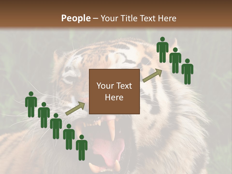A Tiger With Its Mouth Open And It's Mouth Wide Open PowerPoint Template