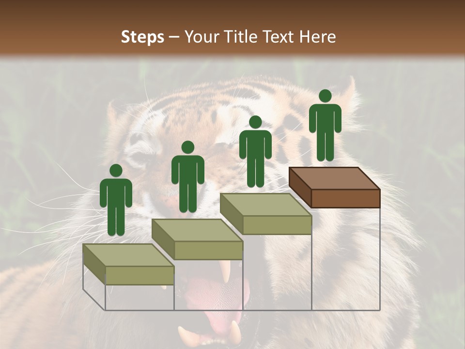 A Tiger With Its Mouth Open And It's Mouth Wide Open PowerPoint Template