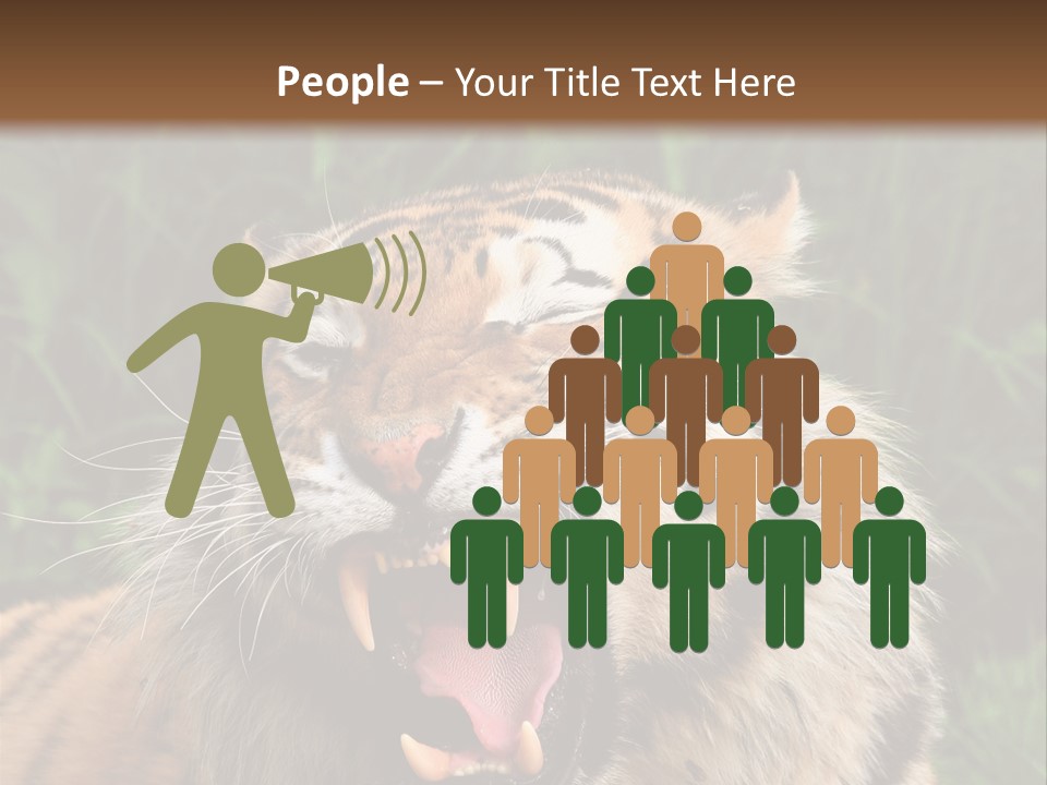 A Tiger With Its Mouth Open And It's Mouth Wide Open PowerPoint Template