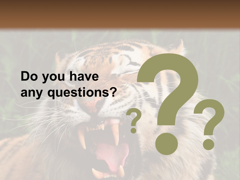 A Tiger With Its Mouth Open And It's Mouth Wide Open PowerPoint Template