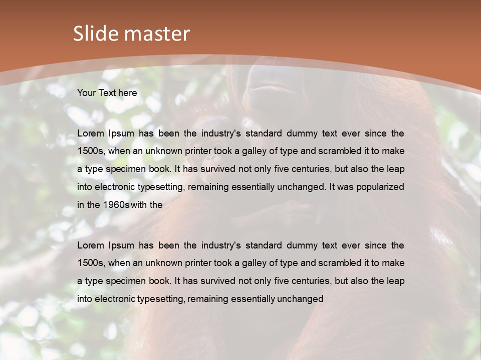 A Baby Oranguel Hanging From A Tree With Its Mother PowerPoint Template