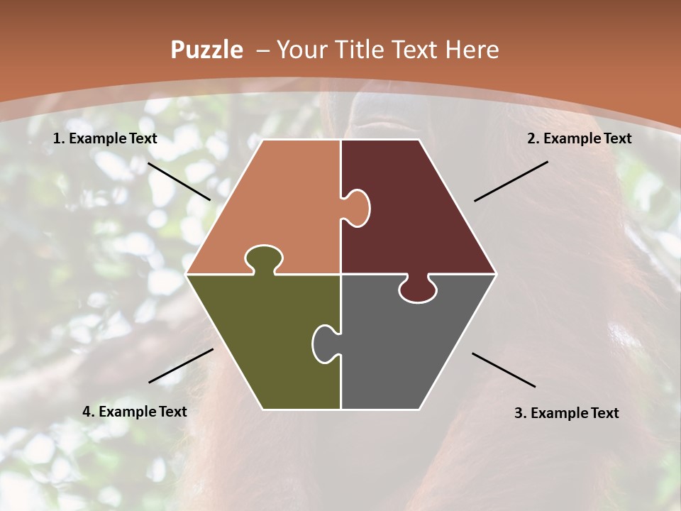A Baby Oranguel Hanging From A Tree With Its Mother PowerPoint Template