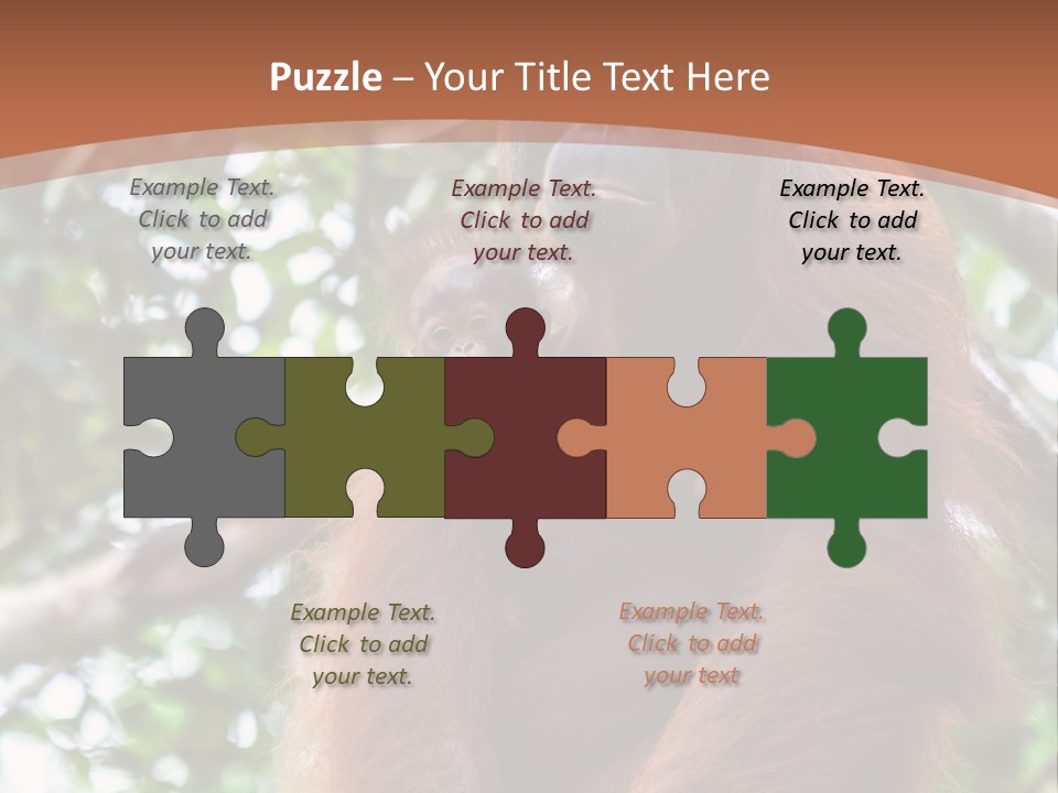 A Baby Oranguel Hanging From A Tree With Its Mother PowerPoint Template