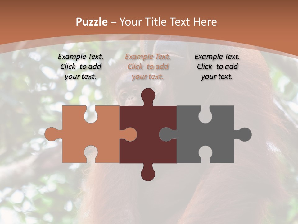 A Baby Oranguel Hanging From A Tree With Its Mother PowerPoint Template