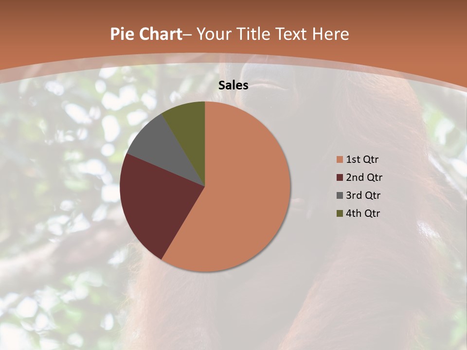 A Baby Oranguel Hanging From A Tree With Its Mother PowerPoint Template