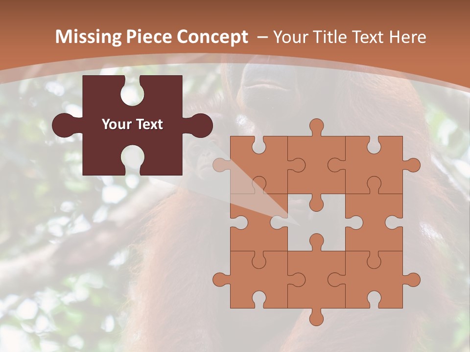 A Baby Oranguel Hanging From A Tree With Its Mother PowerPoint Template