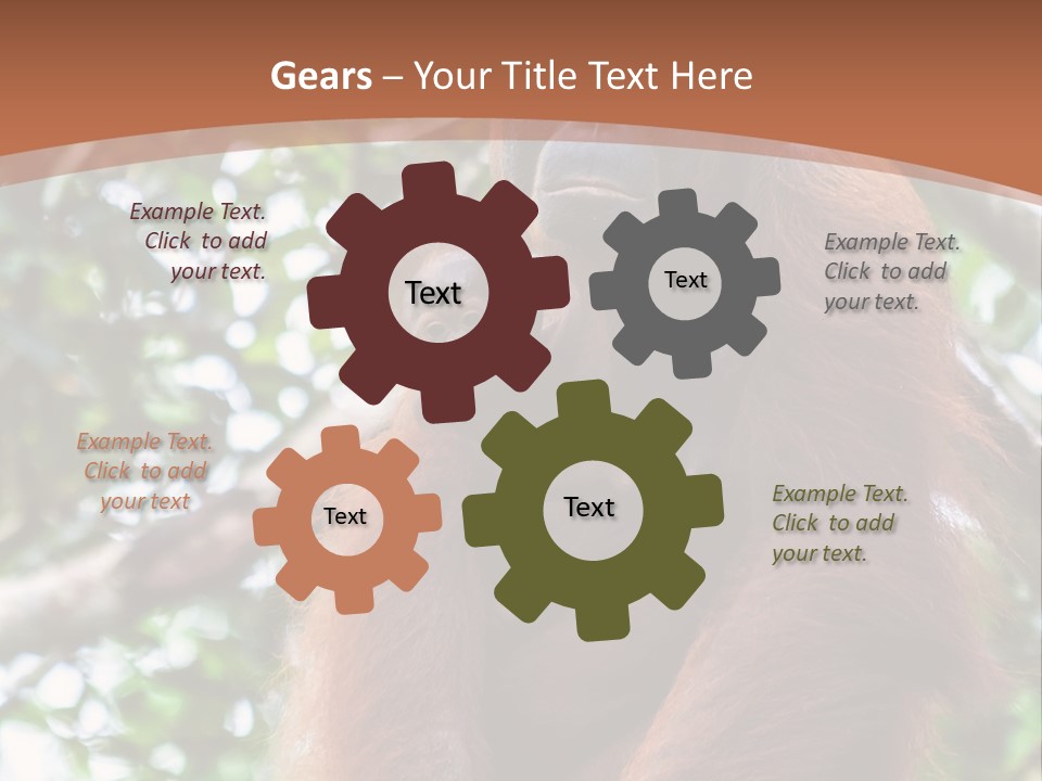 A Baby Oranguel Hanging From A Tree With Its Mother PowerPoint Template