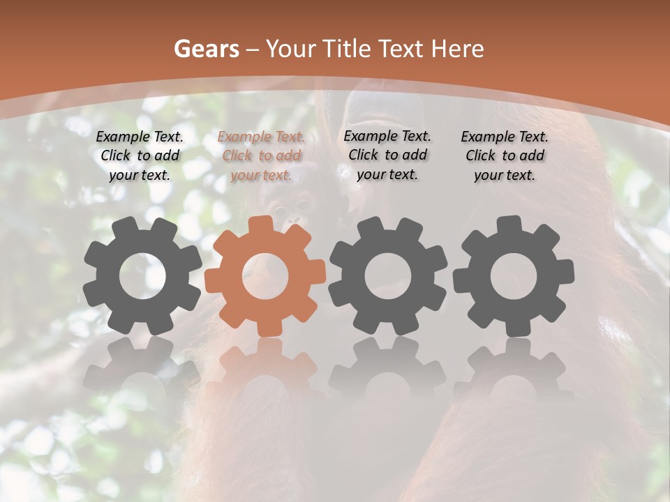 A Baby Oranguel Hanging From A Tree With Its Mother PowerPoint Template