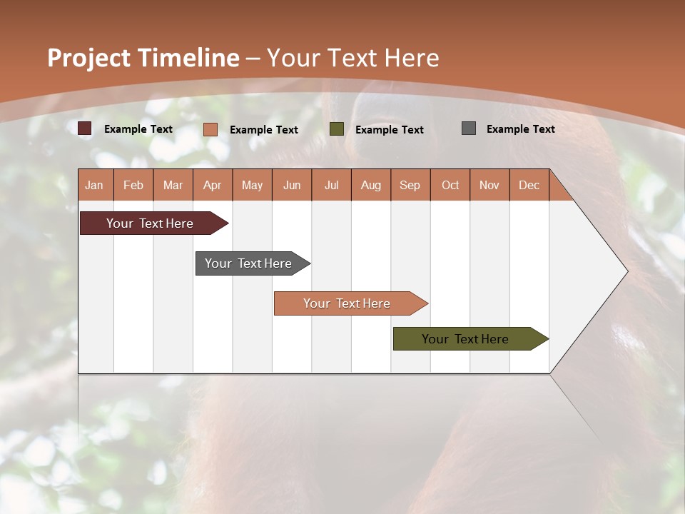 A Baby Oranguel Hanging From A Tree With Its Mother PowerPoint Template