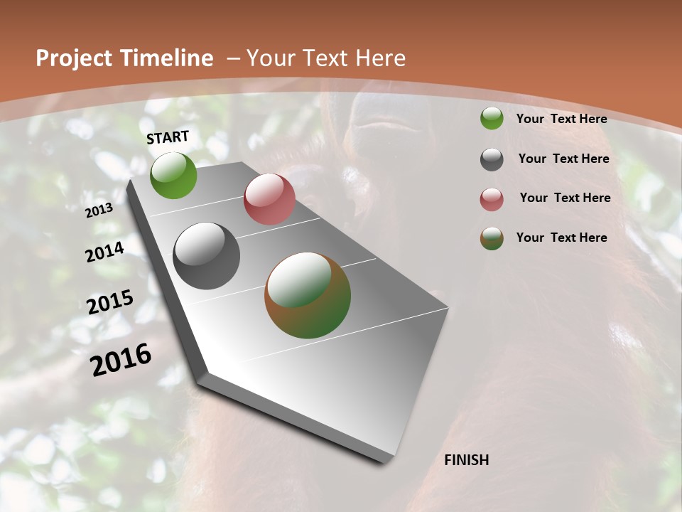 A Baby Oranguel Hanging From A Tree With Its Mother PowerPoint Template