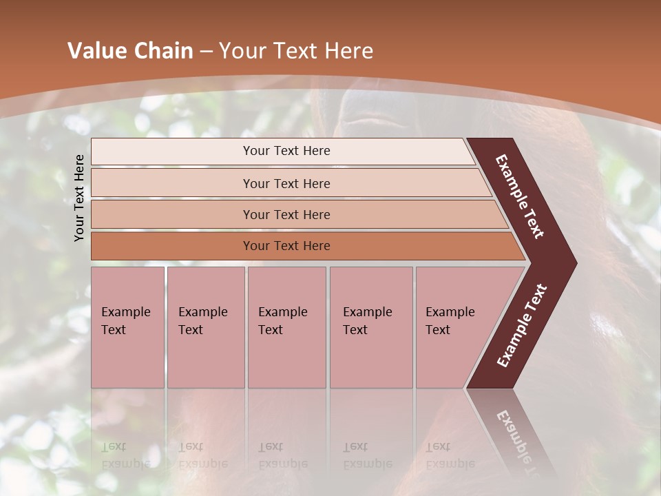 A Baby Oranguel Hanging From A Tree With Its Mother PowerPoint Template