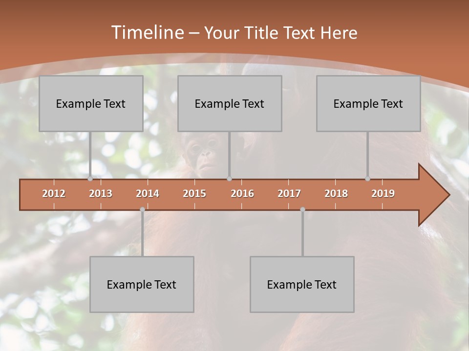 A Baby Oranguel Hanging From A Tree With Its Mother PowerPoint Template