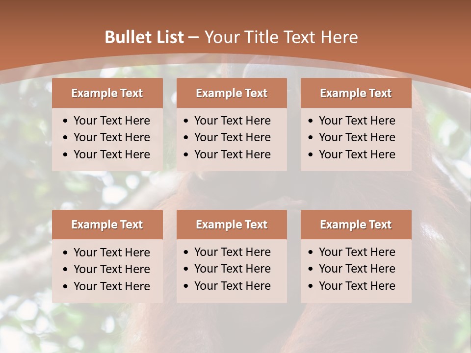 A Baby Oranguel Hanging From A Tree With Its Mother PowerPoint Template