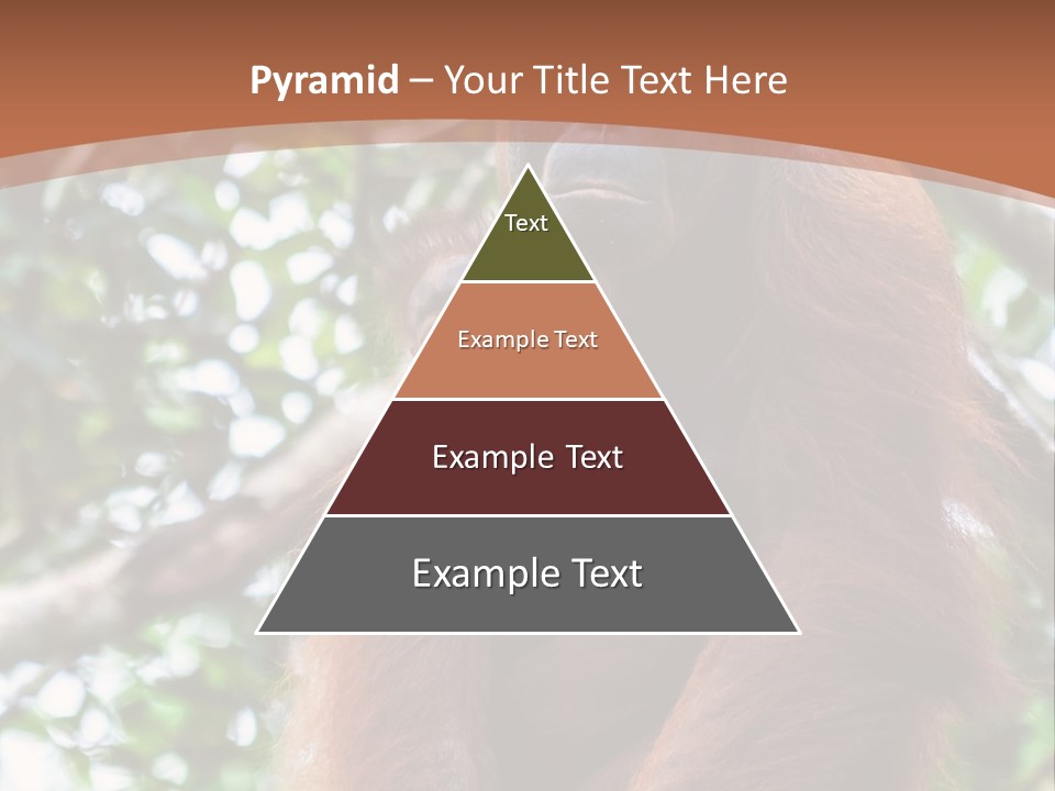 A Baby Oranguel Hanging From A Tree With Its Mother PowerPoint Template