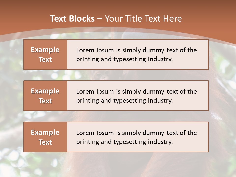 A Baby Oranguel Hanging From A Tree With Its Mother PowerPoint Template