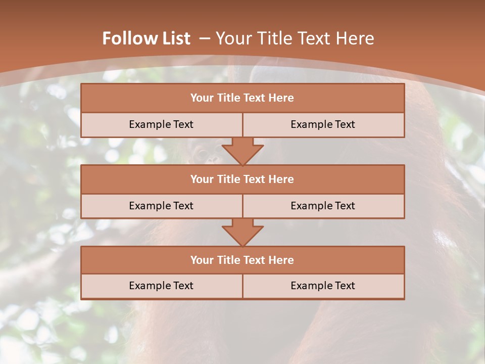 A Baby Oranguel Hanging From A Tree With Its Mother PowerPoint Template