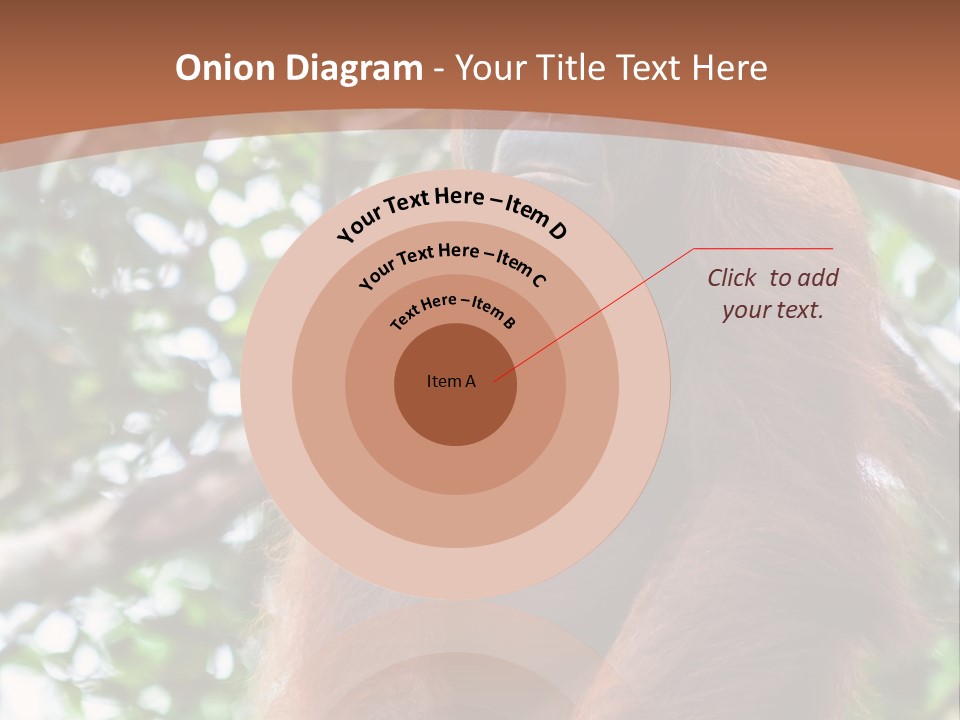 A Baby Oranguel Hanging From A Tree With Its Mother PowerPoint Template