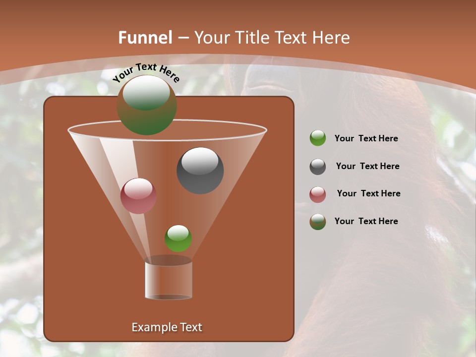 A Baby Oranguel Hanging From A Tree With Its Mother PowerPoint Template
