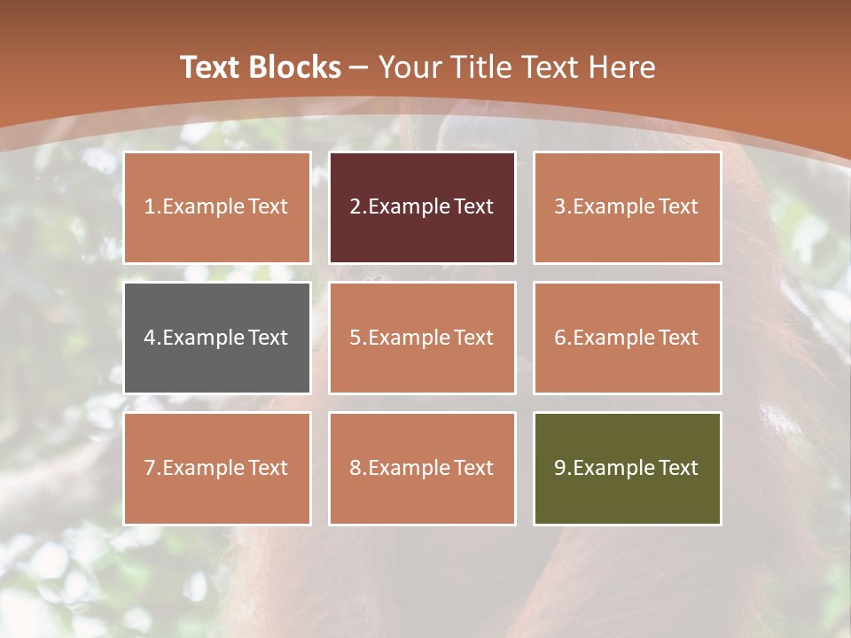 A Baby Oranguel Hanging From A Tree With Its Mother PowerPoint Template