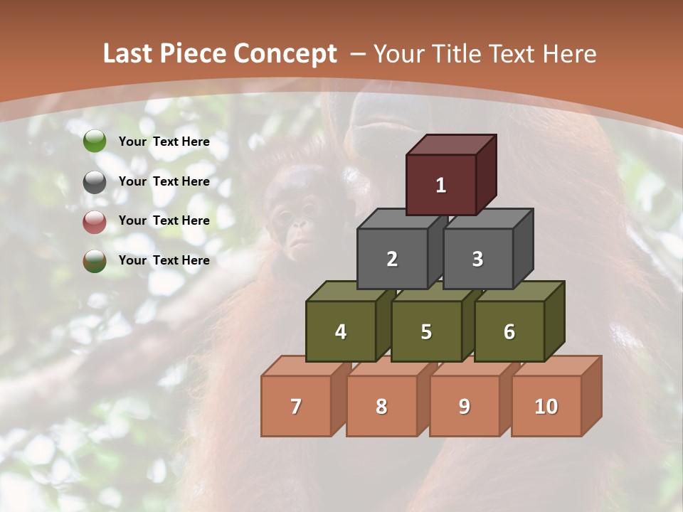 A Baby Oranguel Hanging From A Tree With Its Mother PowerPoint Template