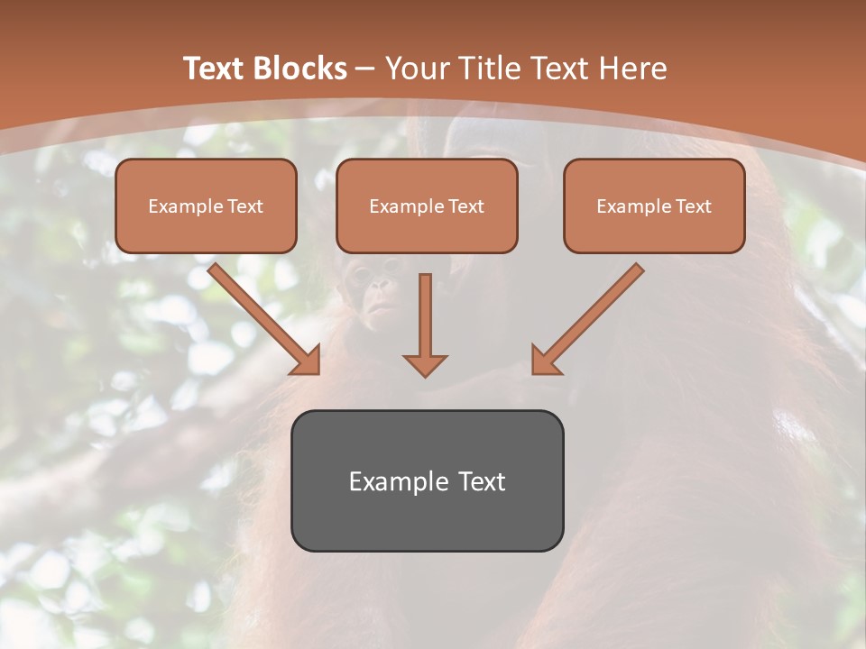 A Baby Oranguel Hanging From A Tree With Its Mother PowerPoint Template
