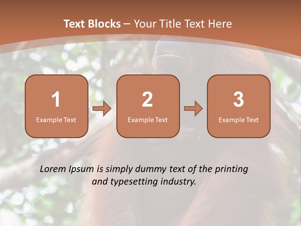 A Baby Oranguel Hanging From A Tree With Its Mother PowerPoint Template
