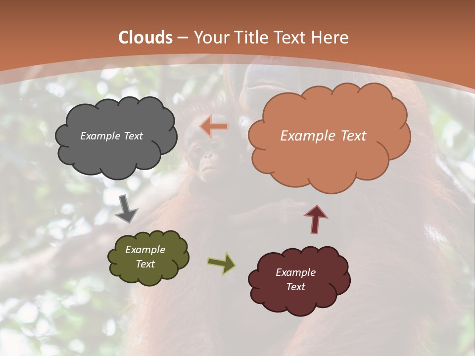 A Baby Oranguel Hanging From A Tree With Its Mother PowerPoint Template
