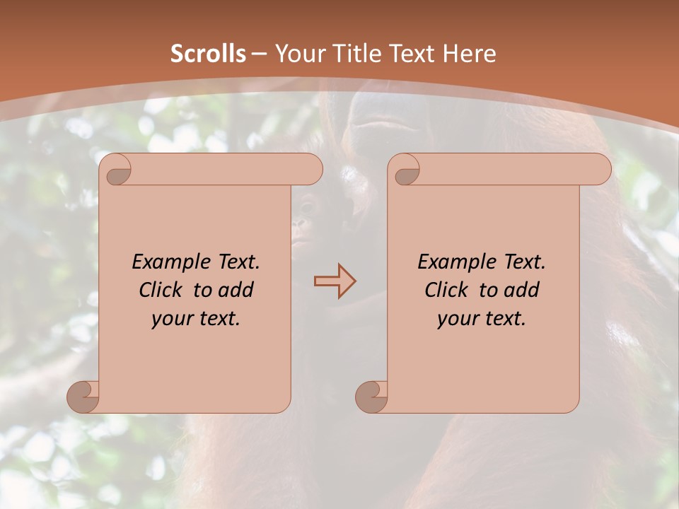 A Baby Oranguel Hanging From A Tree With Its Mother PowerPoint Template