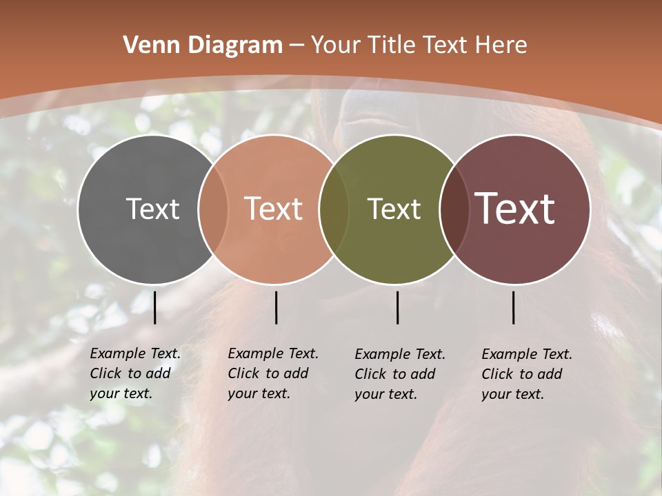 A Baby Oranguel Hanging From A Tree With Its Mother PowerPoint Template