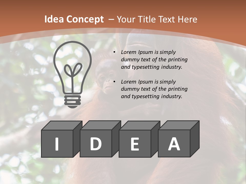 A Baby Oranguel Hanging From A Tree With Its Mother PowerPoint Template