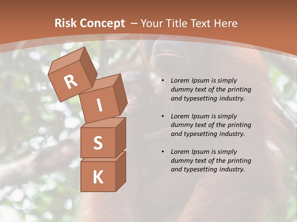 A Baby Oranguel Hanging From A Tree With Its Mother PowerPoint Template