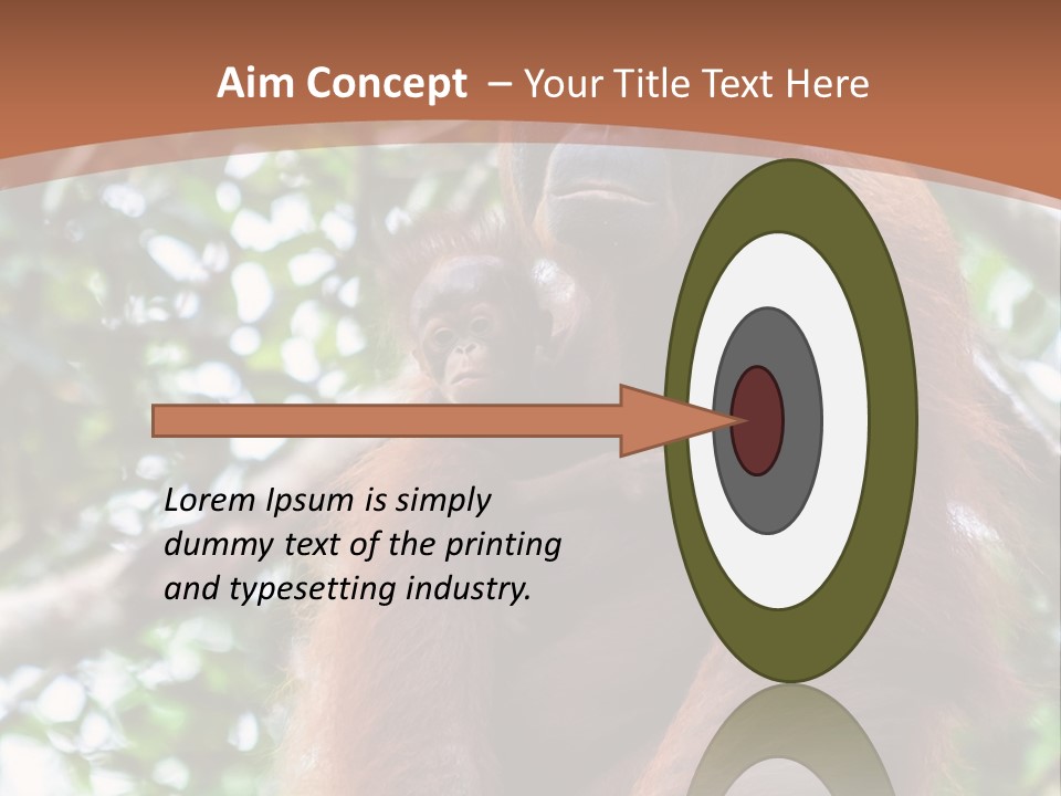 A Baby Oranguel Hanging From A Tree With Its Mother PowerPoint Template
