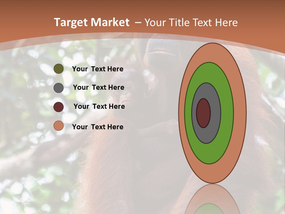 A Baby Oranguel Hanging From A Tree With Its Mother PowerPoint Template